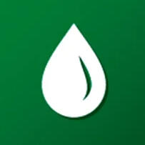 Company Name